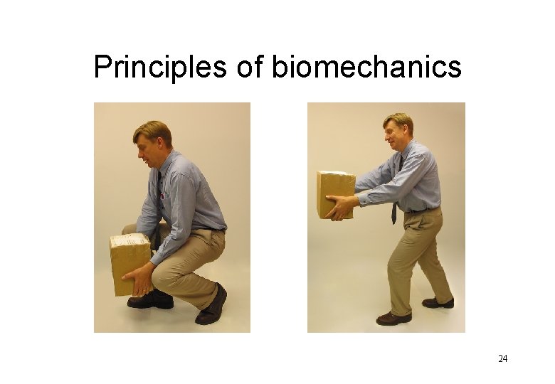 Principles of biomechanics 24 