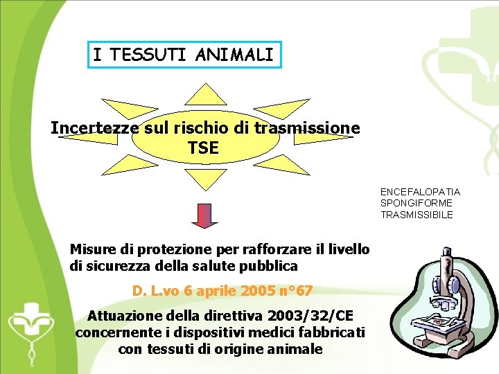 I TESSUTI ANIMALI Incertezze sul rischio di trasmissione TSE ENCEFALOPATIA SPONGIFORME TRASMISSIBILE Misure di