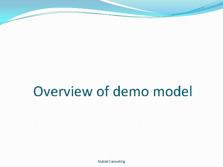 Overview of demo model Nuttall Consulting 