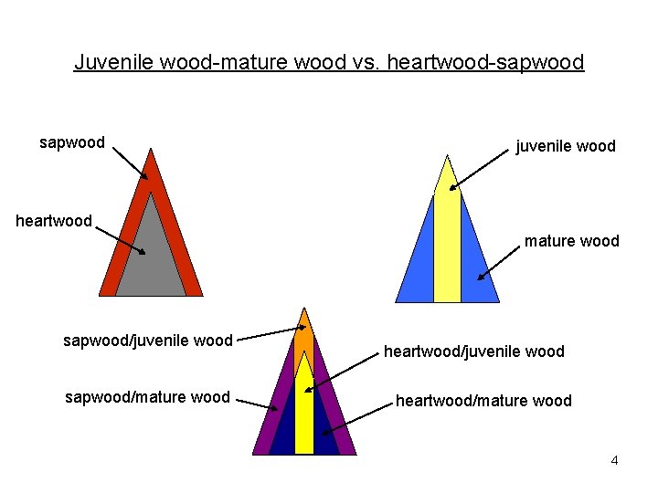 Juvenile wood-mature wood vs. heartwood-sapwood juvenile wood heartwood mature wood sapwood/juvenile wood sapwood/mature wood