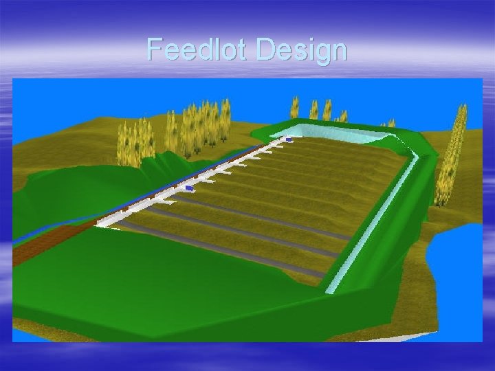 Feedlot Design 