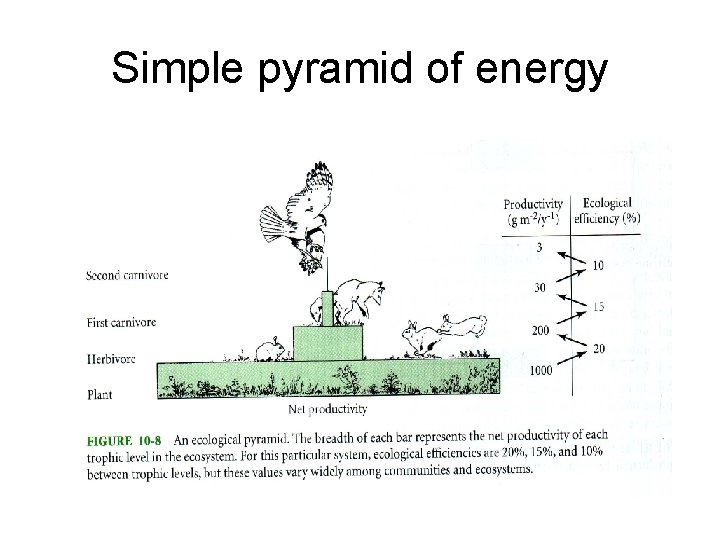 Simple pyramid of energy 