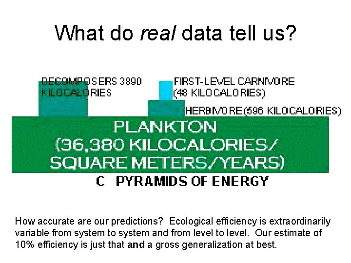 What do real data tell us? How accurate are our predictions? Ecological efficiency is