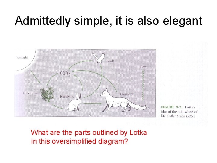 Admittedly simple, it is also elegant What are the parts outlined by Lotka in