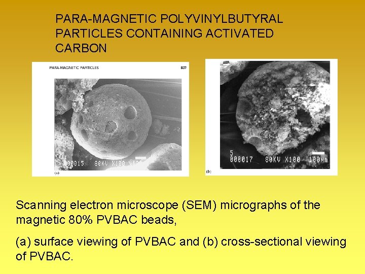PARA-MAGNETIC POLYVINYLBUTYRAL PARTICLES CONTAINING ACTIVATED CARBON Scanning electron microscope (SEM) micrographs of the magnetic