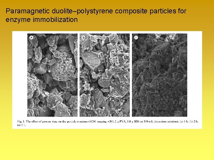 Paramagnetic duolite–polystyrene composite particles for enzyme immobilization 