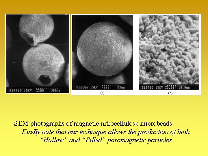 SEM photographs of magnetic nitrocellulose microbeads Kindly note that our technique allows the production