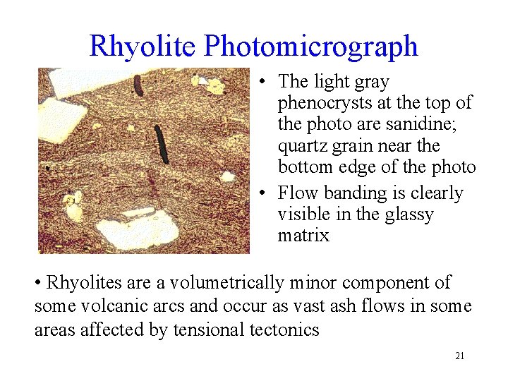 Rhyolite Photomicrograph • The light gray phenocrysts at the top of the photo are