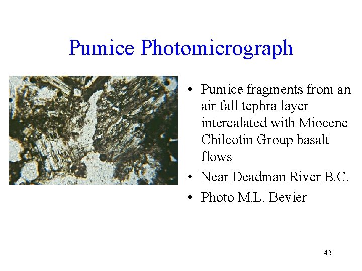 Pumice Photomicrograph • Pumice fragments from an air fall tephra layer intercalated with Miocene