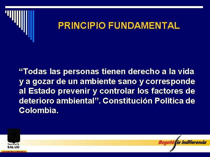 PRINCIPIO FUNDAMENTAL “Todas las personas tienen derecho a la vida y a gozar de