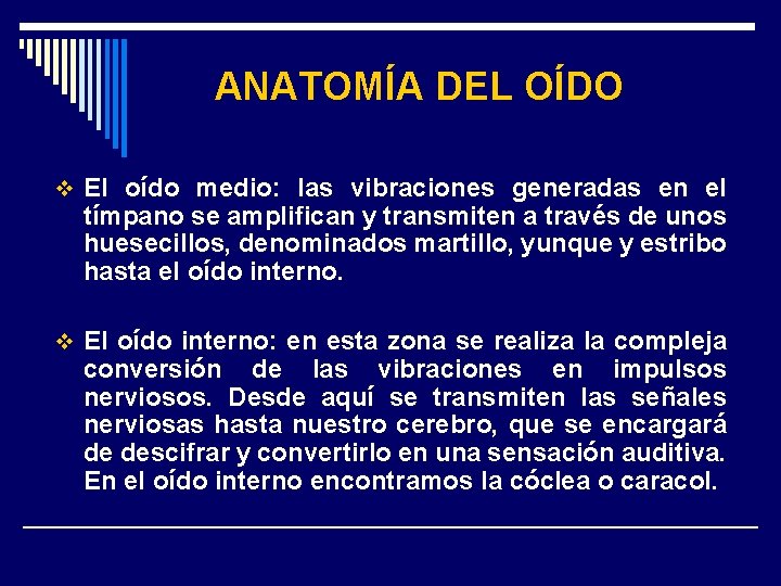 ANATOMÍA DEL OÍDO v El oído medio: las vibraciones generadas en el tímpano se