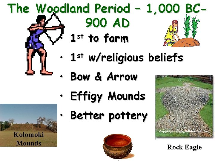 The Woodland Period – 1, 000 BC 900 AD • 1 st to farm
