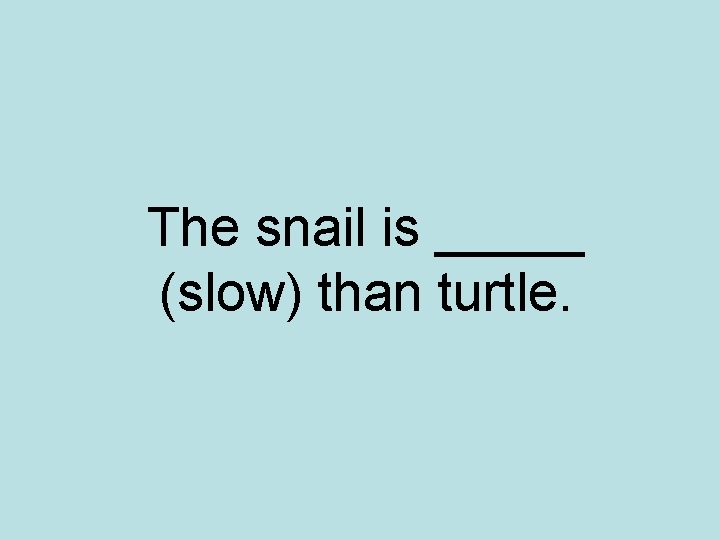 The snail is _____ (slow) than turtle. 