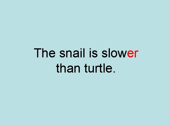 The snail is slower than turtle. 