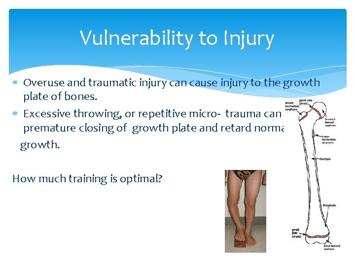 Vulnerability to Injury Overuse and traumatic injury can cause injury to the growth plate