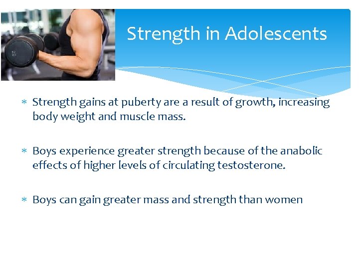 Strength in Adolescents Strength gains at puberty are a result of growth, increasing body