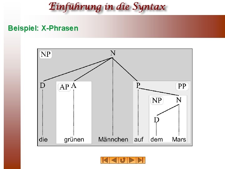 Beispiel: X-Phrasen 