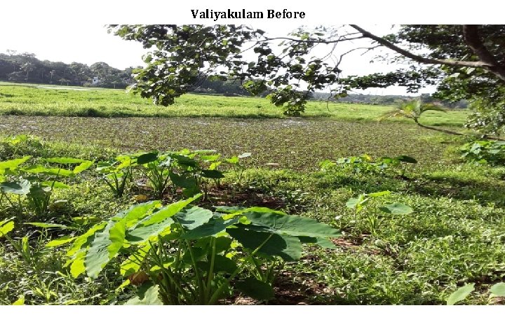 Valiyakulam Before 