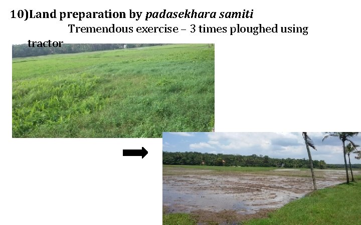 10)Land preparation by padasekhara samiti Tremendous exercise – 3 times ploughed using tractor 