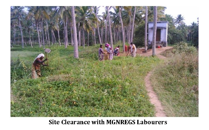 Site Clearance with MGNREGS Labourers 