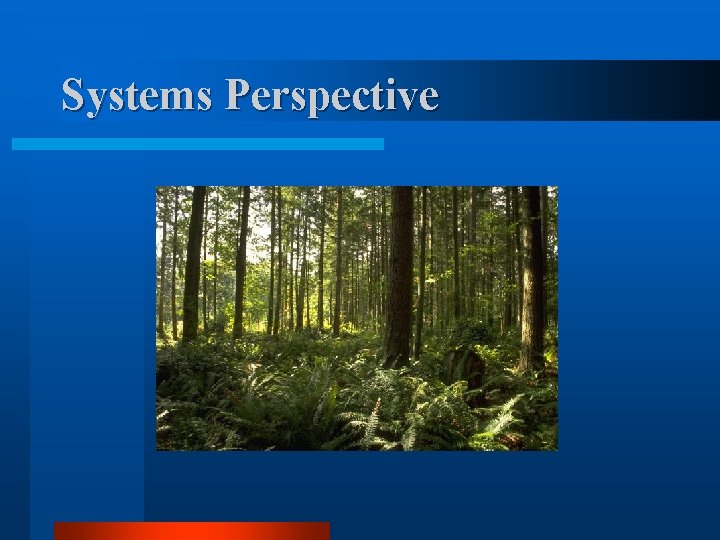 Systems Perspective 