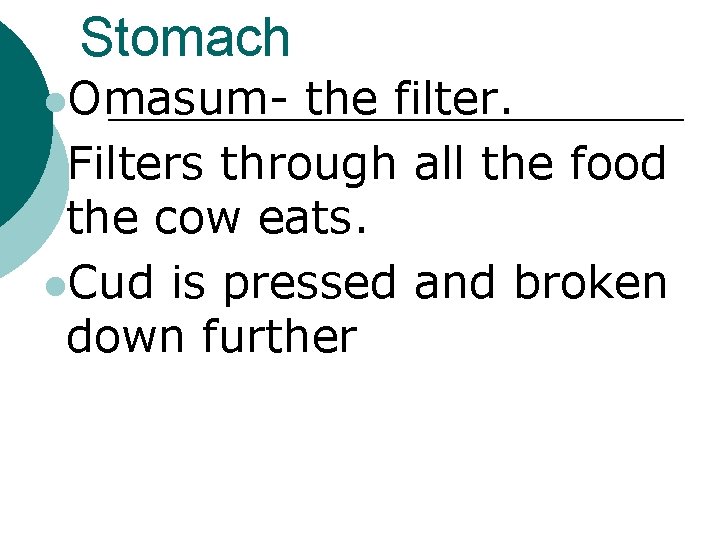 Stomach l. Omasum- the filter. l. Filters through all the food the cow eats.