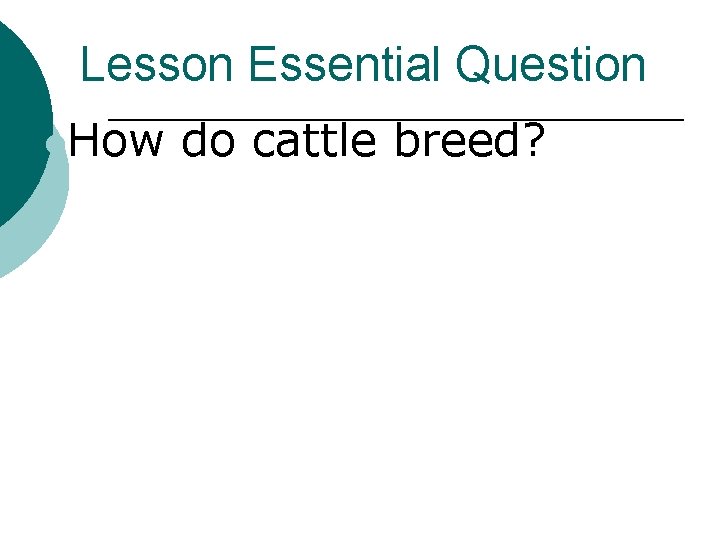 Lesson Essential Question l. How do cattle breed? 