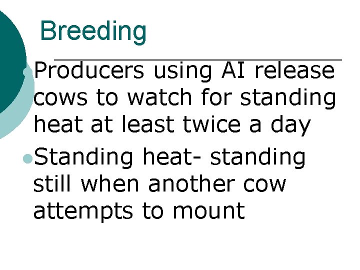 Breeding l. Producers using AI release cows to watch for standing heat at least