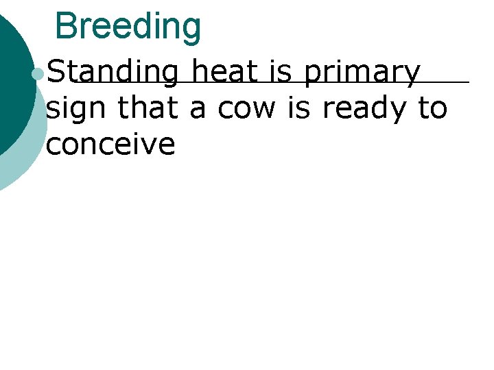 Breeding l. Standing heat is primary sign that a cow is ready to conceive