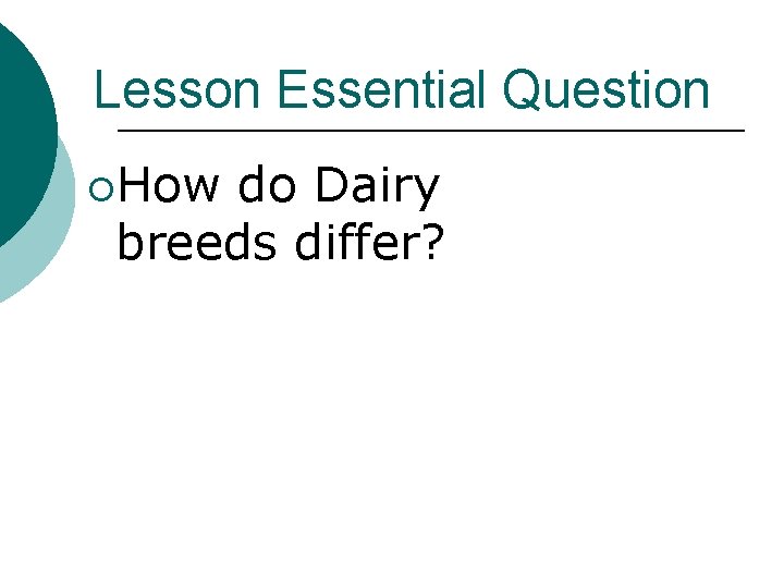 Lesson Essential Question ¡How do Dairy breeds differ? 