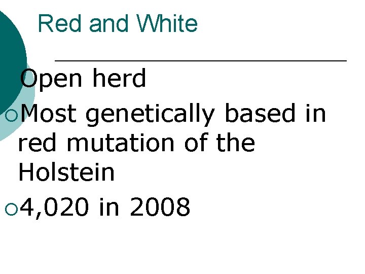 Red and White ¡Open herd ¡Most genetically based in red mutation of the Holstein