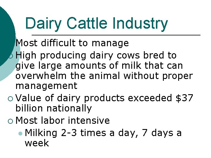 Dairy Cattle Industry ¡ Most difficult to manage ¡ High producing dairy cows bred