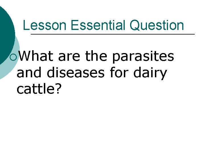 Lesson Essential Question ¡What are the parasites and diseases for dairy cattle? 
