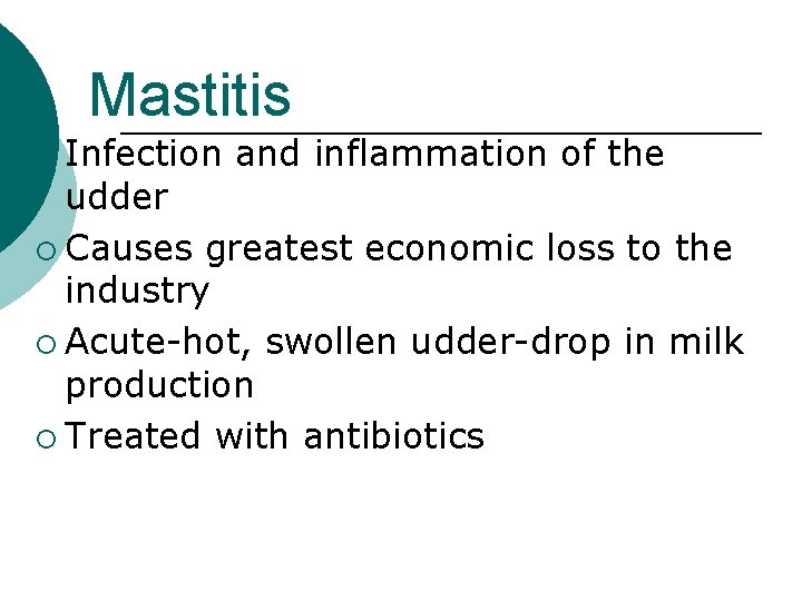 Mastitis ¡ Infection and inflammation of the udder ¡ Causes greatest economic loss to
