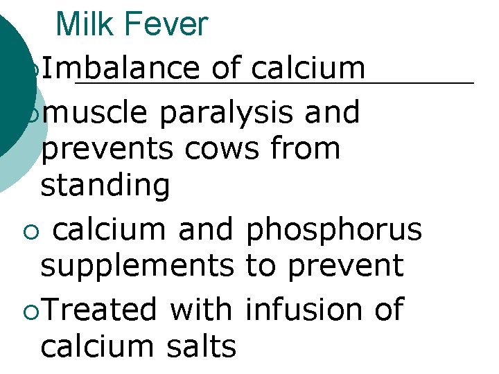 Milk Fever ¡Imbalance of calcium ¡muscle paralysis and prevents cows from standing ¡ calcium