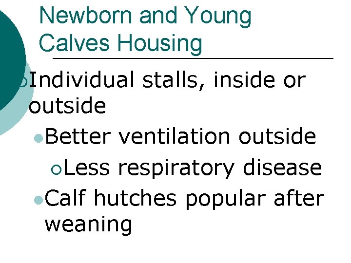 Newborn and Young Calves Housing ¡Individual stalls, inside or outside l. Better ventilation outside
