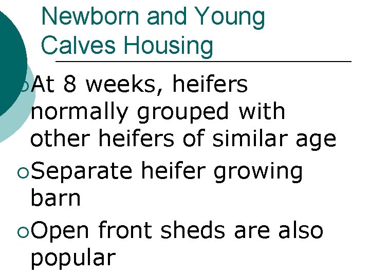 Newborn and Young Calves Housing ¡At 8 weeks, heifers normally grouped with other heifers