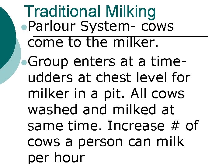 Traditional Milking l. Parlour System- cows come to the milker. l. Group enters at