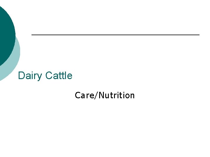Dairy Cattle Care/Nutrition 