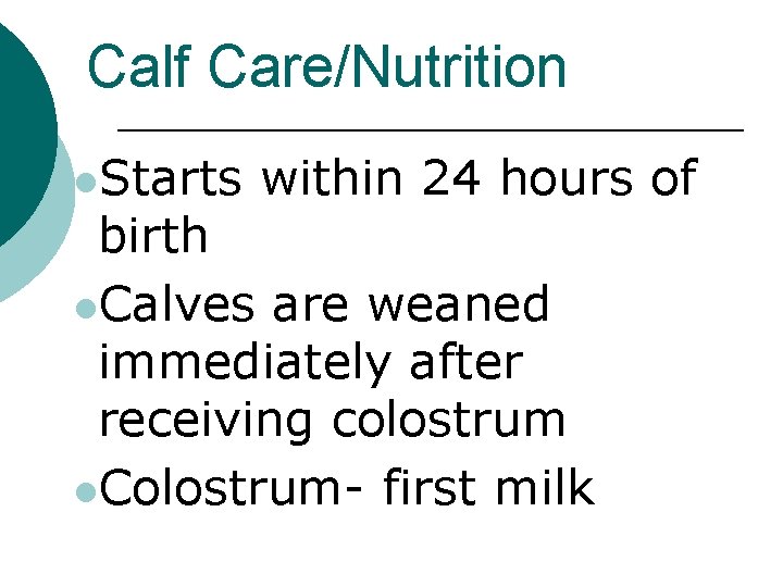 Calf Care/Nutrition l. Starts within 24 hours of birth l. Calves are weaned immediately