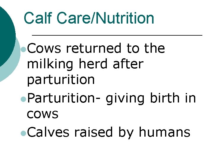 Calf Care/Nutrition l. Cows returned to the milking herd after parturition l. Parturition- giving