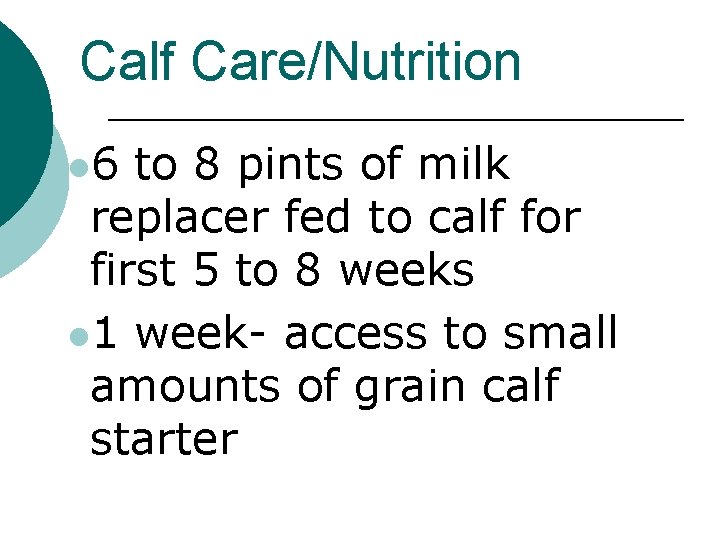 Calf Care/Nutrition l 6 to 8 pints of milk replacer fed to calf for