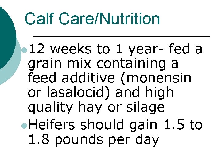 Calf Care/Nutrition l 12 weeks to 1 year- fed a grain mix containing a