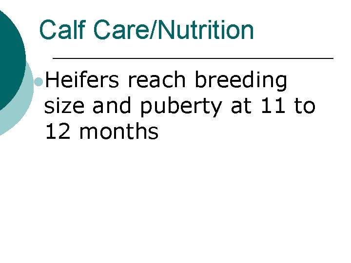 Calf Care/Nutrition l. Heifers reach breeding size and puberty at 11 to 12 months