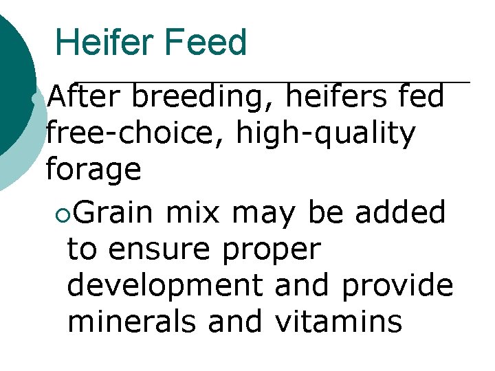 Heifer Feed l. After breeding, heifers fed free-choice, high-quality forage ¡Grain mix may be