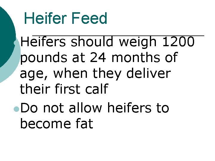 Heifer Feed l. Heifers should weigh 1200 pounds at 24 months of age, when