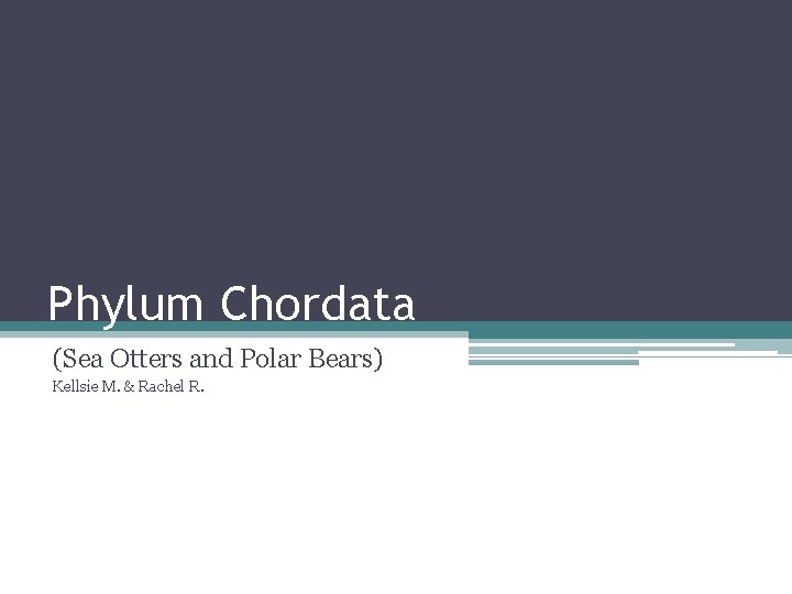 Phylum Chordata (Sea Otters and Polar Bears) Kellsie M. & Rachel R. 