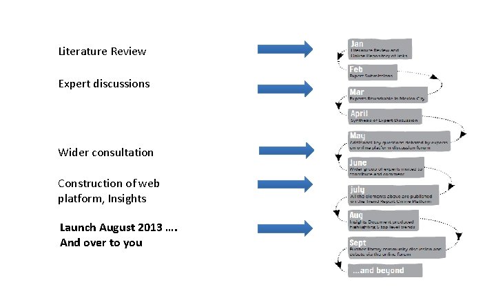 Literature Review Expert discussions Wider consultation Construction of web platform, Insights Launch August 2013