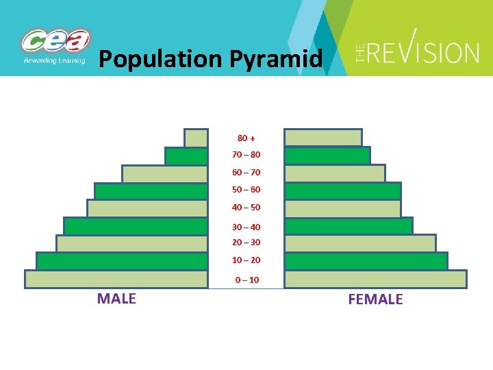 Population Pyramid 80 + 70 – 80 60 – 70 50 – 60 40