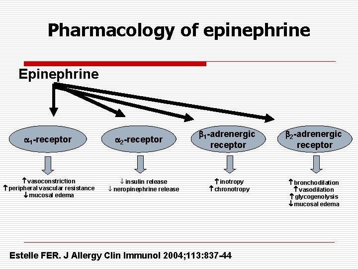 Pharmacology of epinephrine Epinephrine 1 -receptor vasoconstriction peripheral vascular resistance mucosal edema 2 -receptor